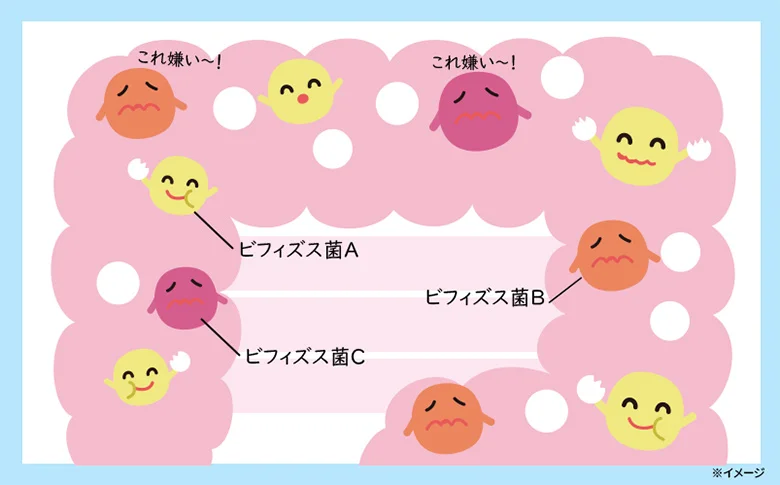 ダイエット成功の秘訣は日本で一番売れてるオリゴ糖！